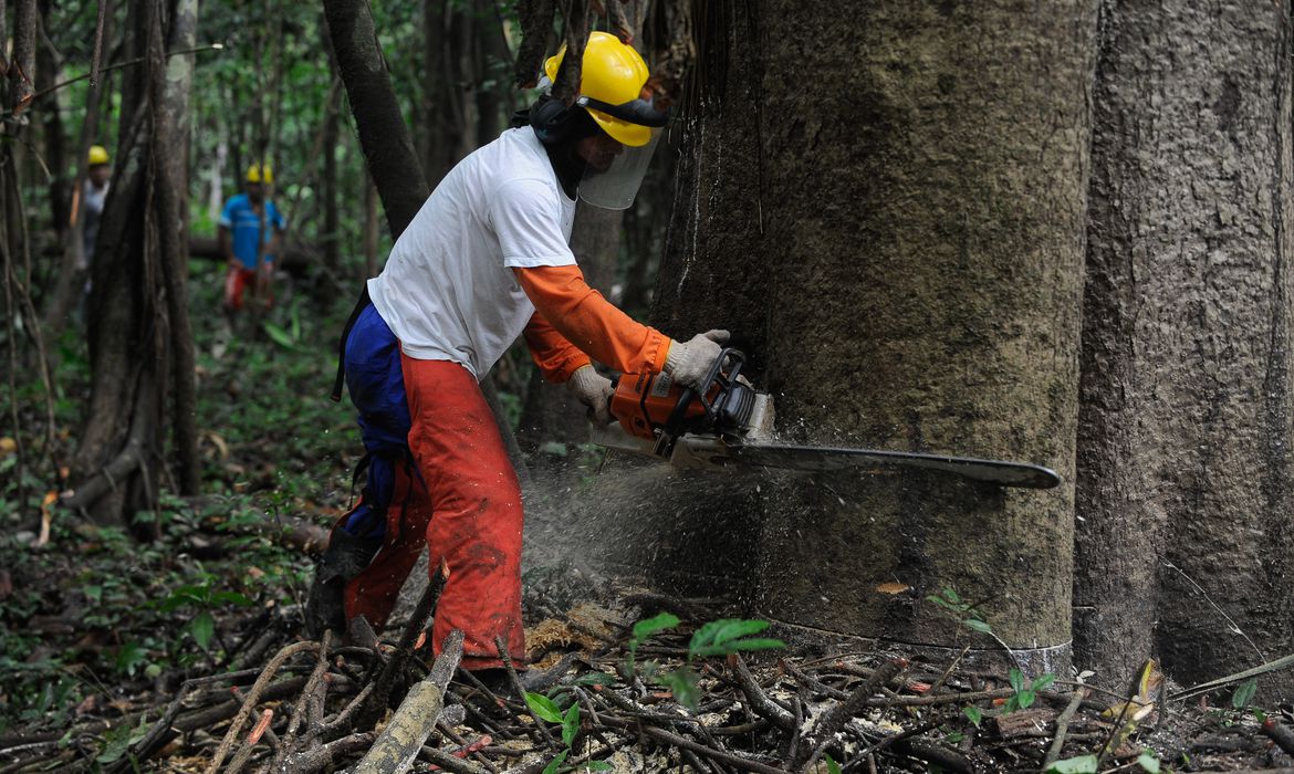 Desmatamento em 2022 é o maior em 15 anos na Amazônia Legal