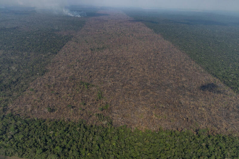 Desmatamento da Amazônia é alto pelo terceiro ano seguido de Bolsonaro