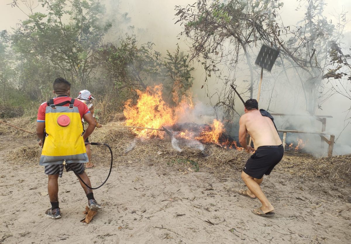 Incêndio na floresta ameaça cemitério no interior do Amazonas