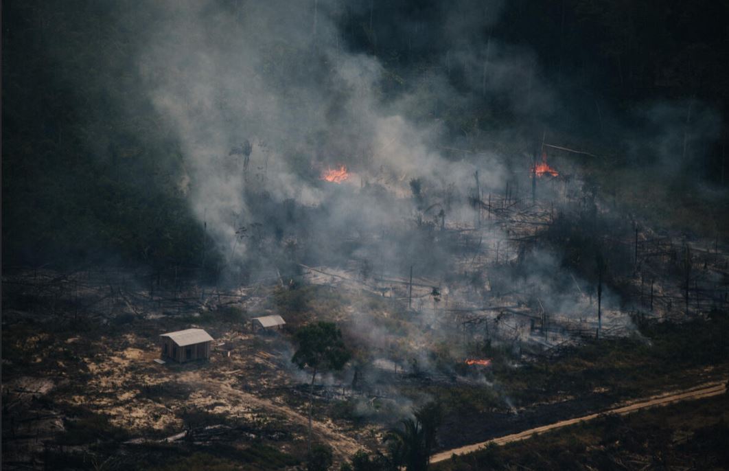 Greenpeace divulga imagens de queimadas no Amazonas e Rondônia