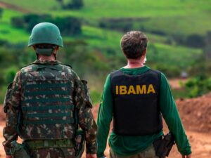 Bolsonaro insiste com militares contra crime ambiental na Amazônia