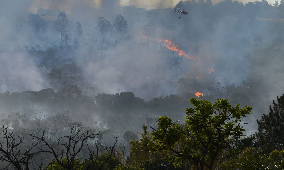 Quatro agostos de Bolsonaro registra mais de 120 mil focos de queimadas