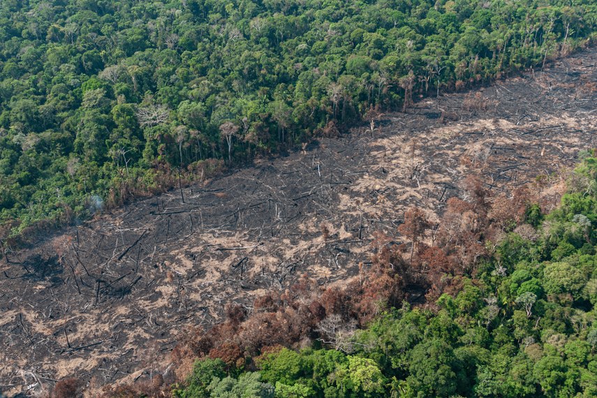 Senadores debatem aumento da grilagem de terras na Amazônia