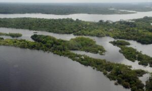 Brasil pode ganhar R$ 95 bi com Fundo Amazônia e política ambiental