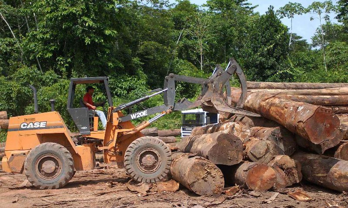 Amazônia: desmatamento cai 50%, melhor resultado desde 2018