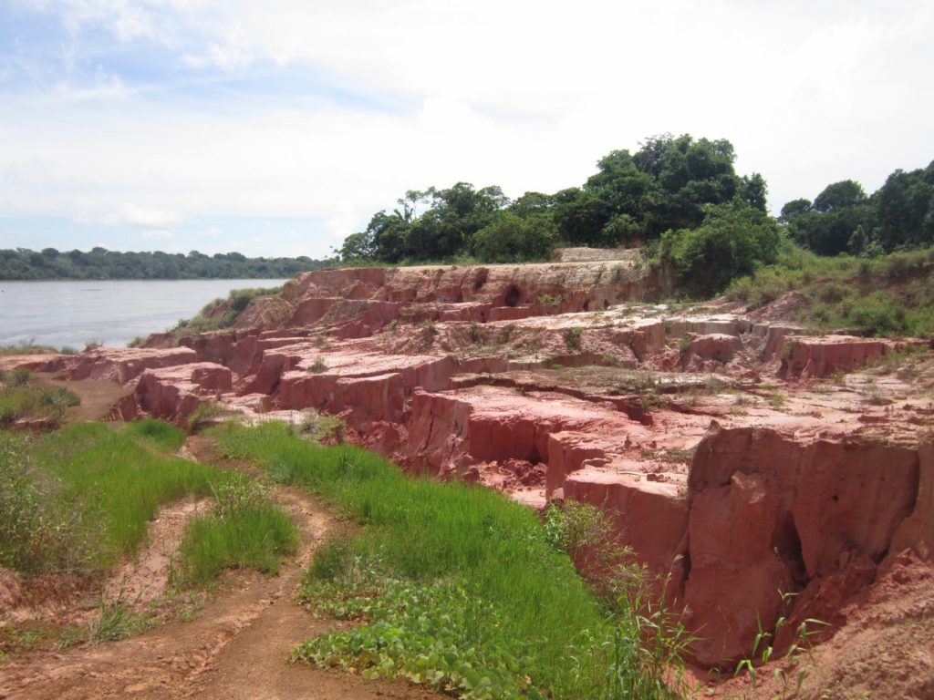 Estudo aponta efeitos do desmatamento em terras do rio Solimões, no AM