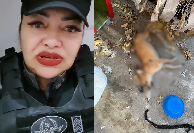 Sargento PM acusa vizinhos de matar seus 6 cães em Manaus
