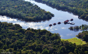 Mamirauá, no AM, pode levar prêmio mundial de vigilância da biodiversidade