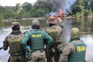 CMA aperta combate a crimes ambientais na Amazônia