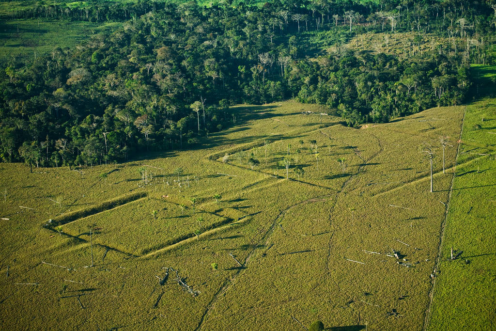 Terraplanagem antiga que apareceu em paisagem da Amazônia após região ser desmatada – Foto: Mauricio de Paiva/Reprodução/Folha