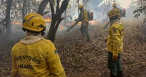 ITCE lança campanha permanente contra queimadas no Amazonas