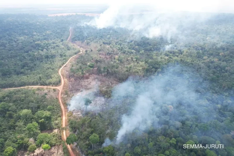 Incêndios no Pará destruem plantações e florestas no Amazonas