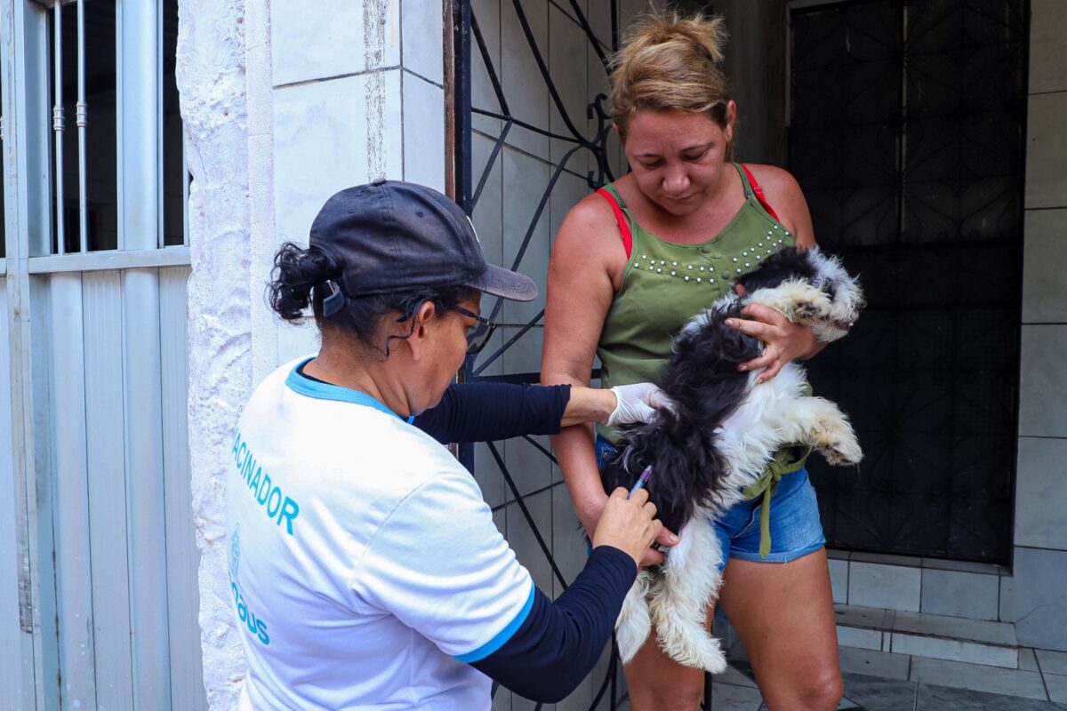 Prefeitura divulga 20 bairros de Manaus na vacinação antirrábica