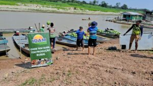Agricultores de Eirunepé, Maraã e Tonantins vendem 35 t ao PAA