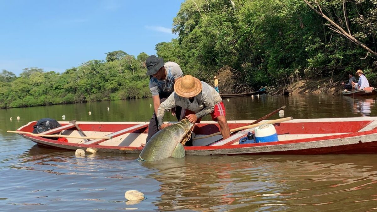 Sai MP do auxílio de R$ 2,6 mil a pescadores do Amazonas