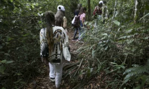Amazonas tem edital para financiar pesquisas em biodiversidade