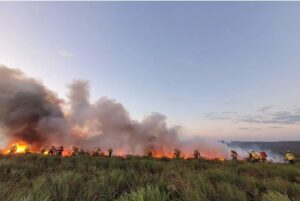 Focos de queimadas em alta na Amazônia