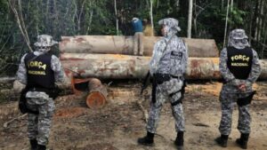 Amazônia Legal: Força Nacional continua com apoio ao Ibama