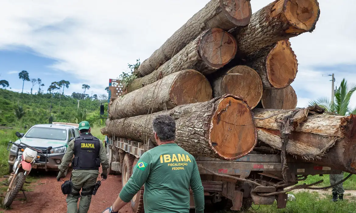 Amazônia: Ibama diz que é de quase 100% a suspensão da fiscalização