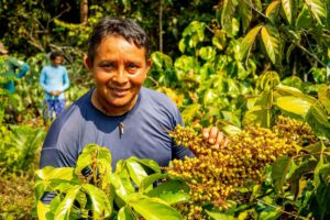 Amazônia: tokenização de cadeias produtivas valoriza agricultura familiar