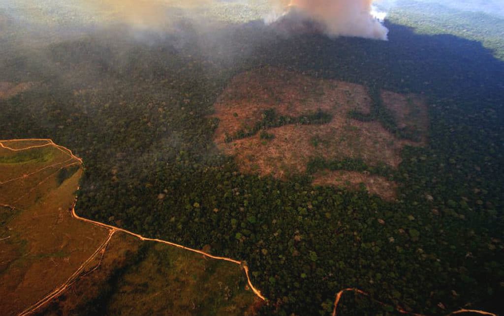 Roraima e seca dos rios aumentaram queimadas na Amazônia