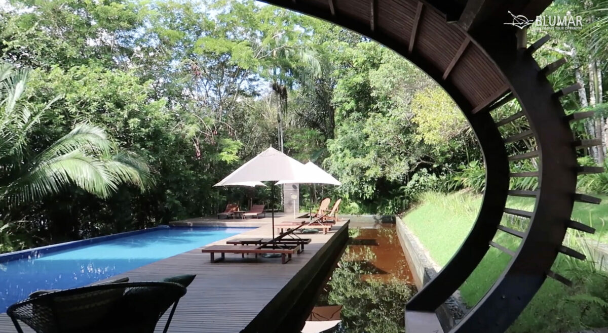 Amazônia: quatro dos 5 melhores hotéis de selva são no Amazonas