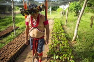 Fundo Amazônia libera R$ 9,8 milhões para produção indígena na região