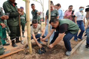 Meio ambiente: Manaus é selecionada para dois programas internacionais