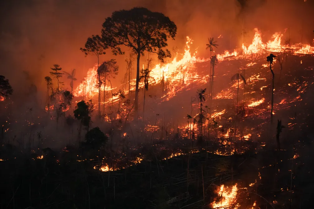 Amazônia: Inpe aponta recorde de queimadas em 20 anos no semestre
