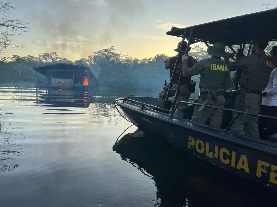 Fundo Amazônia: Justiça e BNDES têm plano contra crime organizado