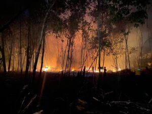 Novo Airão abre temporada de fogo na floresta no Amazonas